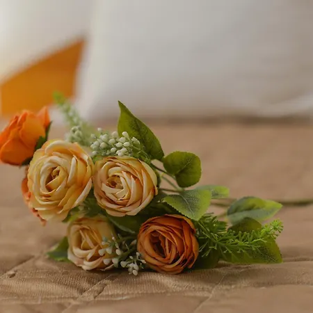 A1 - Evim * Mangalia